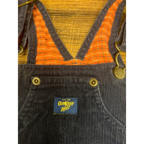 OSHKOSH B’GOSH Boy’s Navy Corduroy Flannel Lined Bib Overalls / Size: 18 Months - Picture 3 of 9